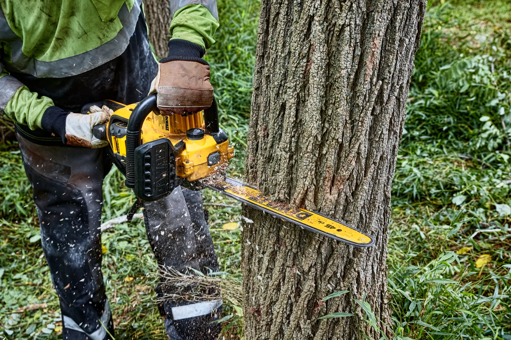 Eine Person benutzt eine gelbe DEWALT-Kettensäge, um einen Baum zu fällen, während Holzspäne durch die Luft fliegen, in einem bewaldeten Außenbereich.