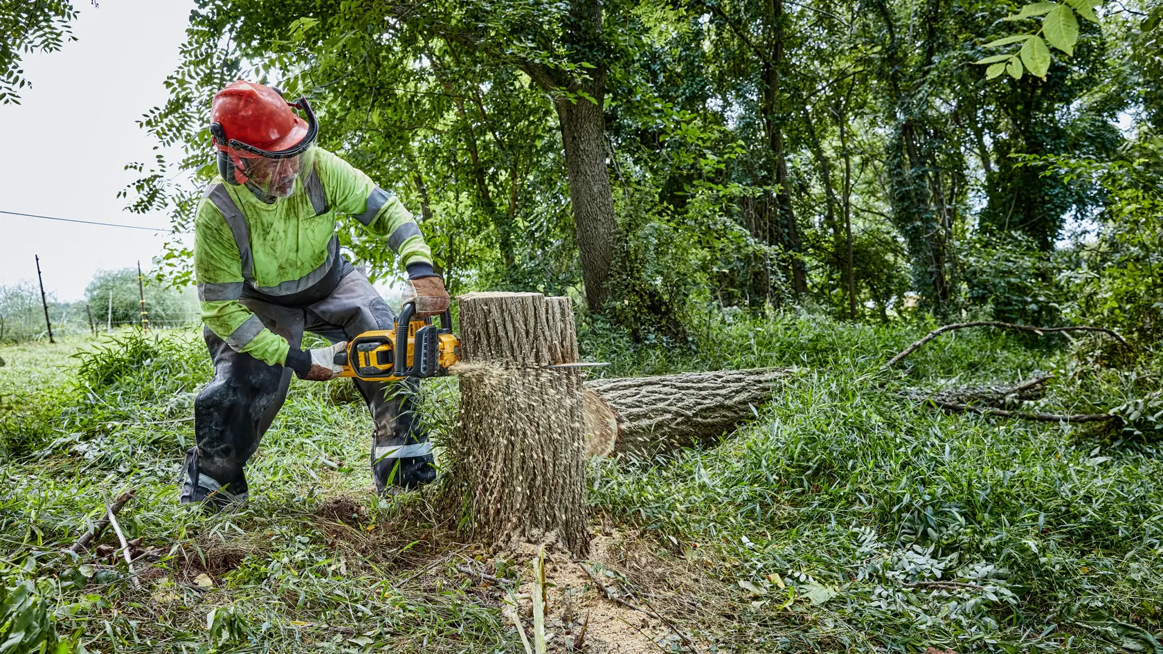 Eine Person mit Schutzausrüstung verwendet eine kabellose DEWALT-Kettensäge, um einen umgestürzten Baumstamm in einem bewaldeten Außenbereich zu durchtrennen.