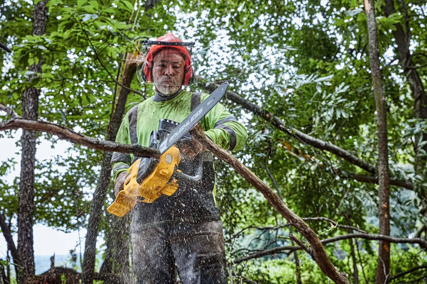 Eine Person mit Schutzkleidung benutzt eine gelbe DEWALT Akku-Kettensäge, um einen Ast im Freien in einem Wald zu schneiden