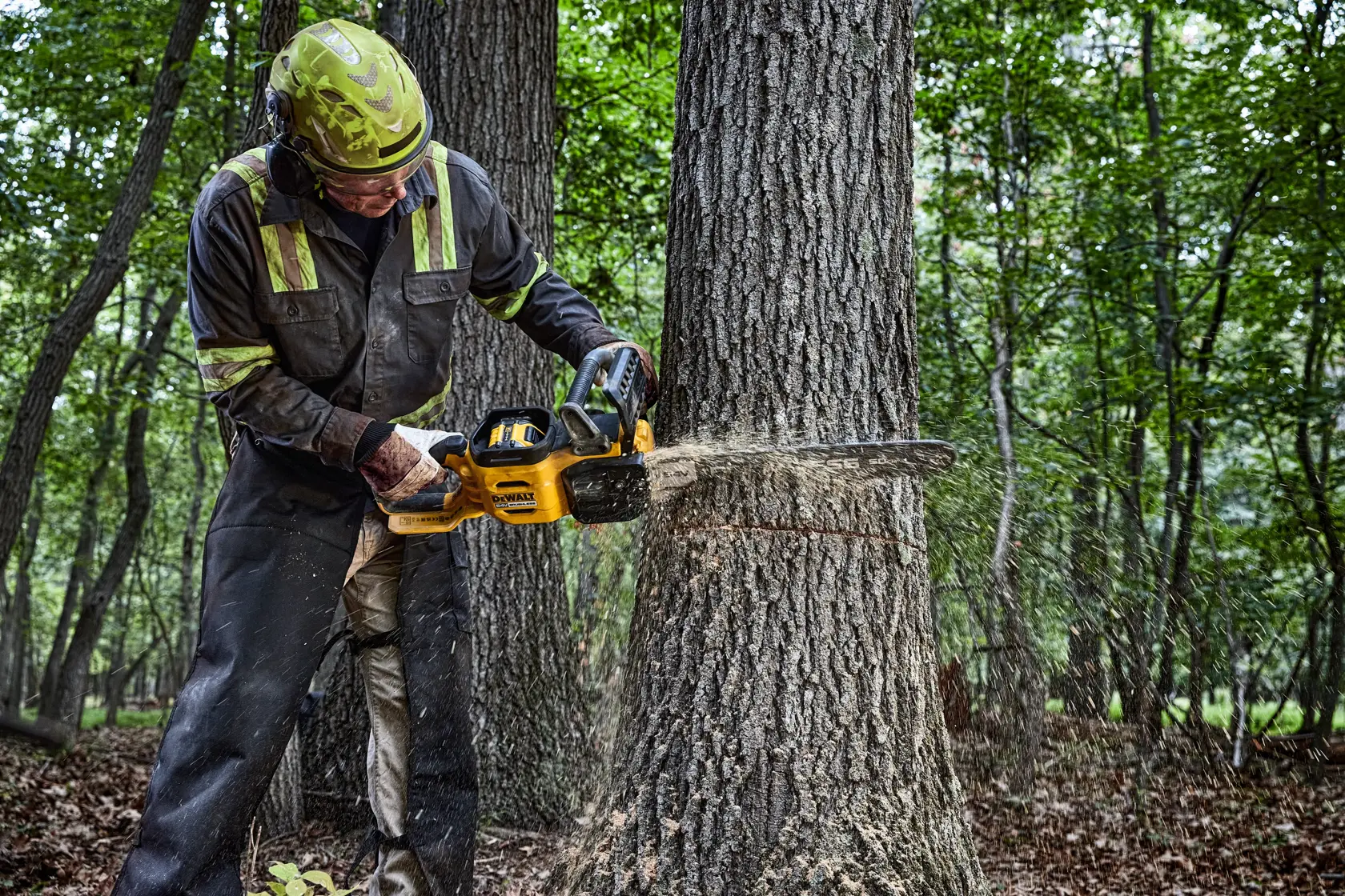 Eine Person mit Schutzkleidung schneidet in einem Wald einen Baumstamm mit einer gelben DEWALT-Kettensäge, Modell DCMCS575N
