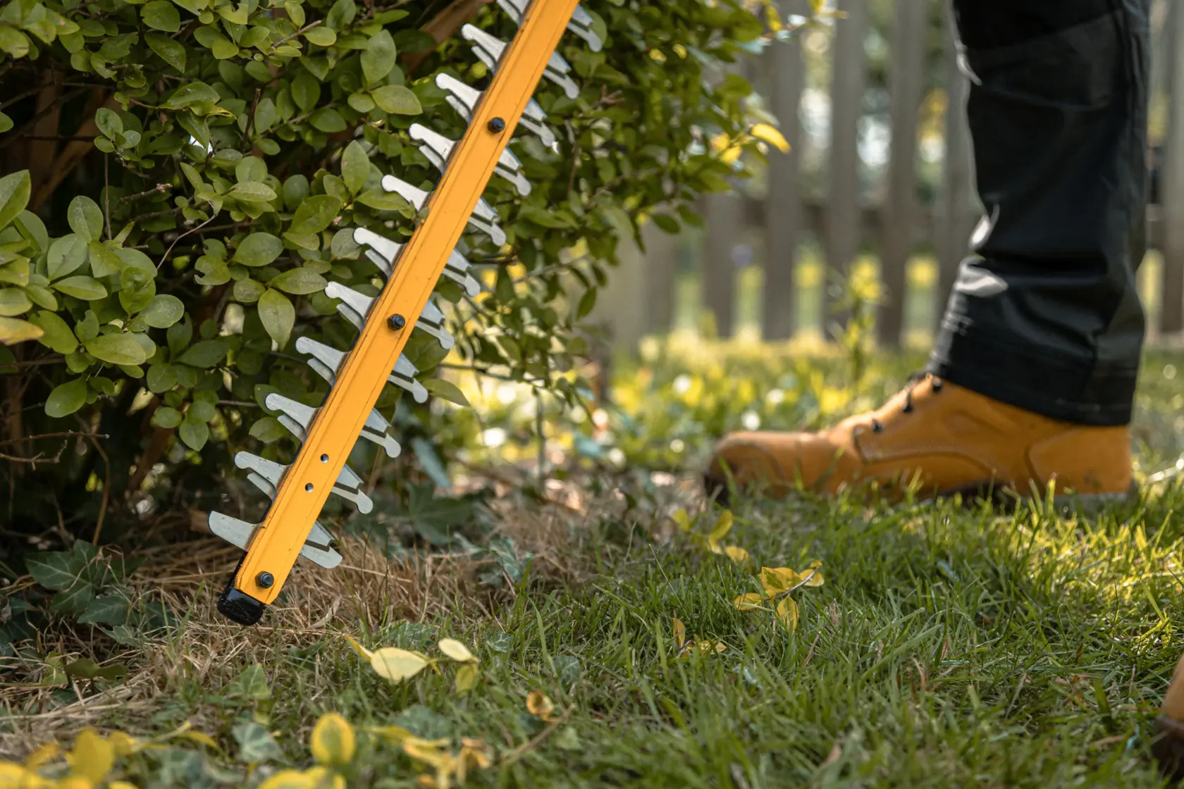 Persona taglia siepi con un tagliasiepi giallo DEWALT all'aperto e indossa scarpe protettive.