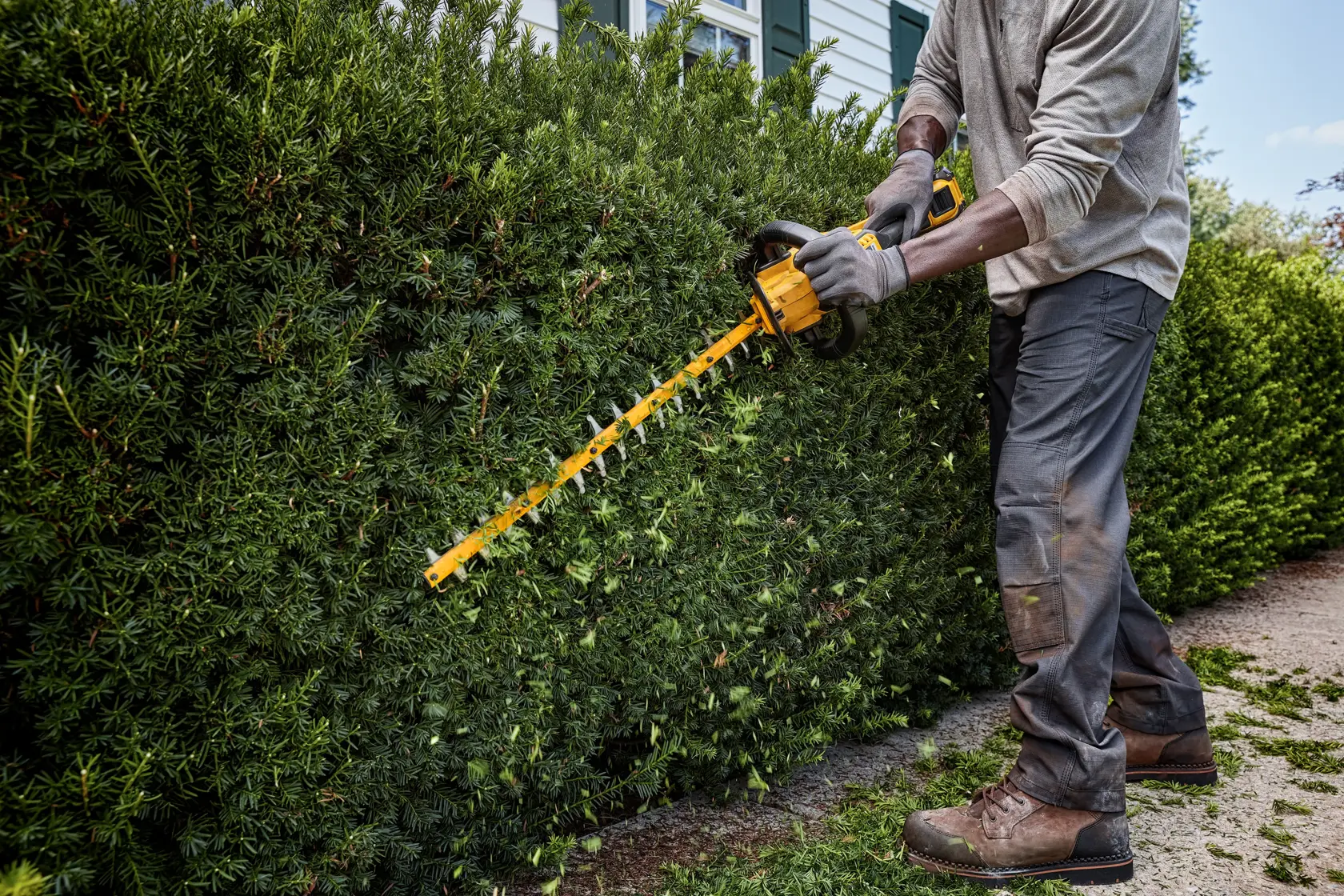 Person schneidet draußen dichte grüne Hecke mit einem DEWALT kabellosen Heckenschneider.