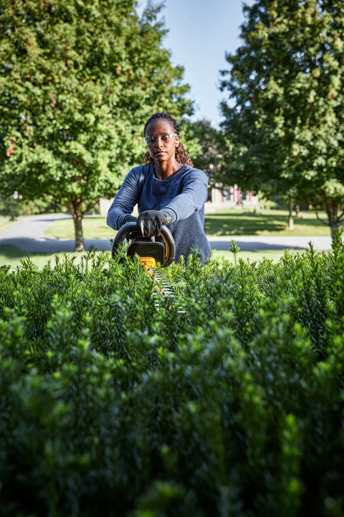 Person schneidet Büsche mit einem DEWALT-Heckenschneider im Freien, umgeben von Grün und Bäumen.