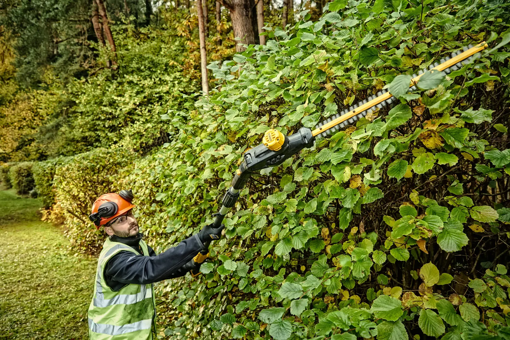 Persona recorta seto alto afuera con cortasetos inalámbrico DEWALT con pértiga y lleva equipo de seguridad.