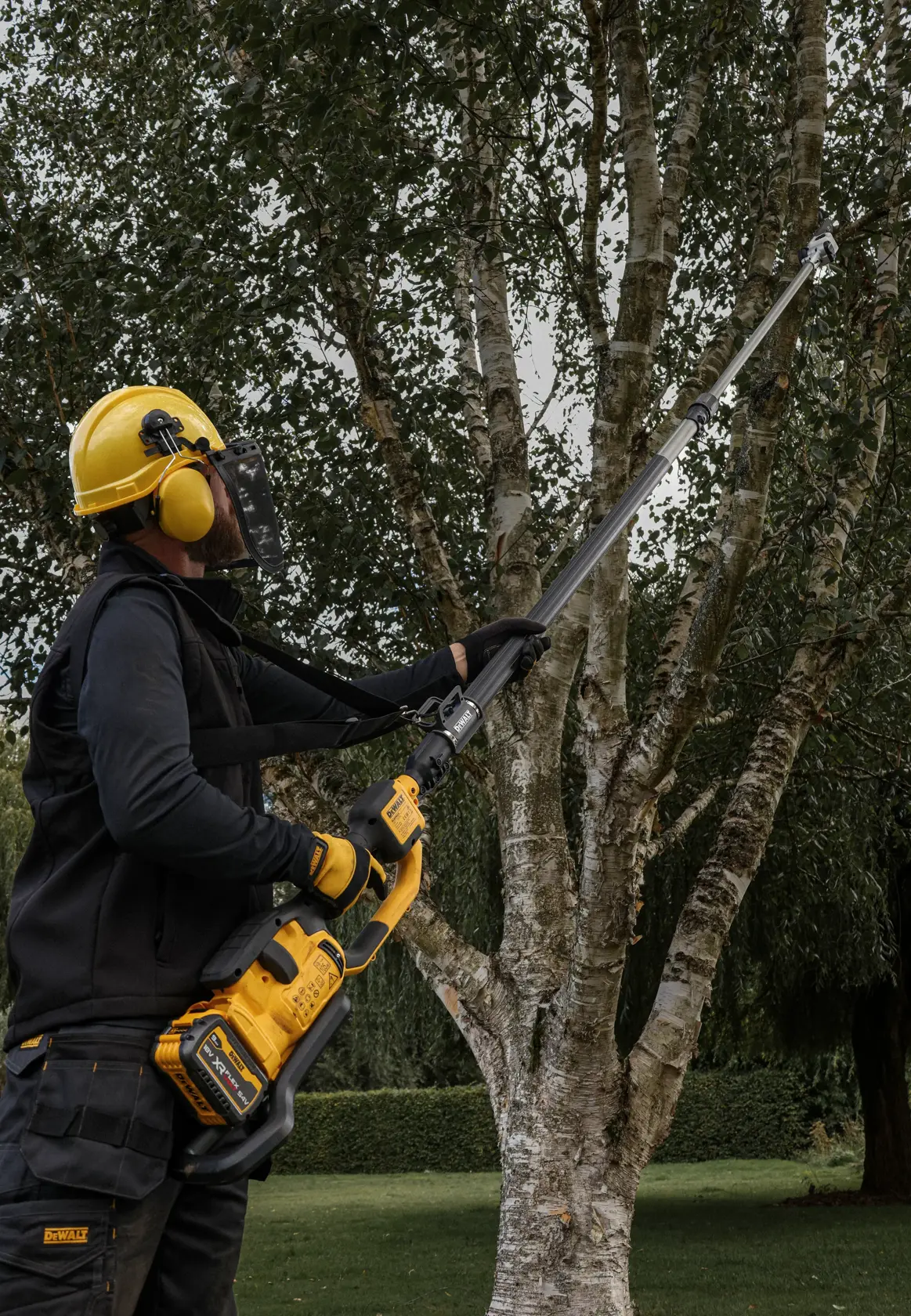 Person schneidet Baumäste draußen mit DEWALT Stabkettensäge, trägt Schutzkleidung und Helm.